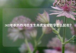 2022年农历四月出生生肖虎宝宝姓李怎么起名？
